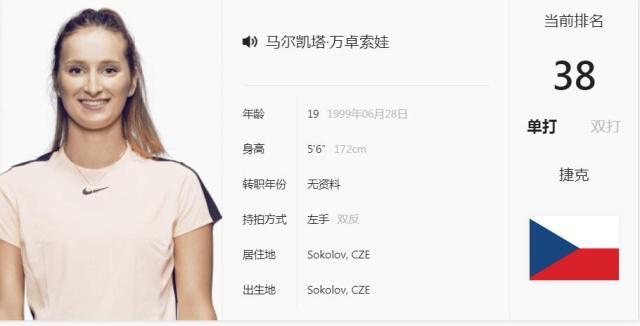 与对抗转化 与对抗转化